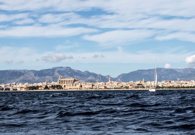 Villa en Pollensa -  Villa L´esplai in Pollensa By home villas 360 Villa en Pollensa -  Villa L´esplai in Pollensa By home villas 360