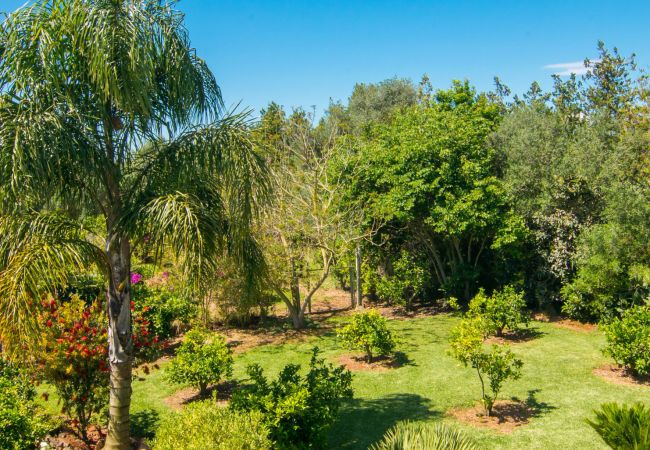 Finca en Muro - S'Estable by Rentallorca Finca en Muro - S'Estable by Rentallorca