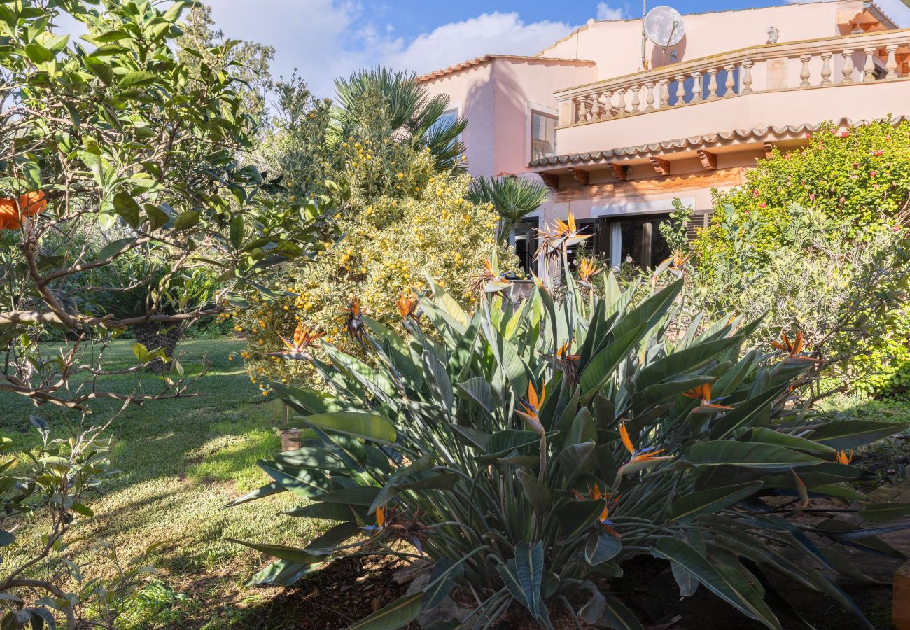 Finca en Muro - S'Estable by Rentallorca