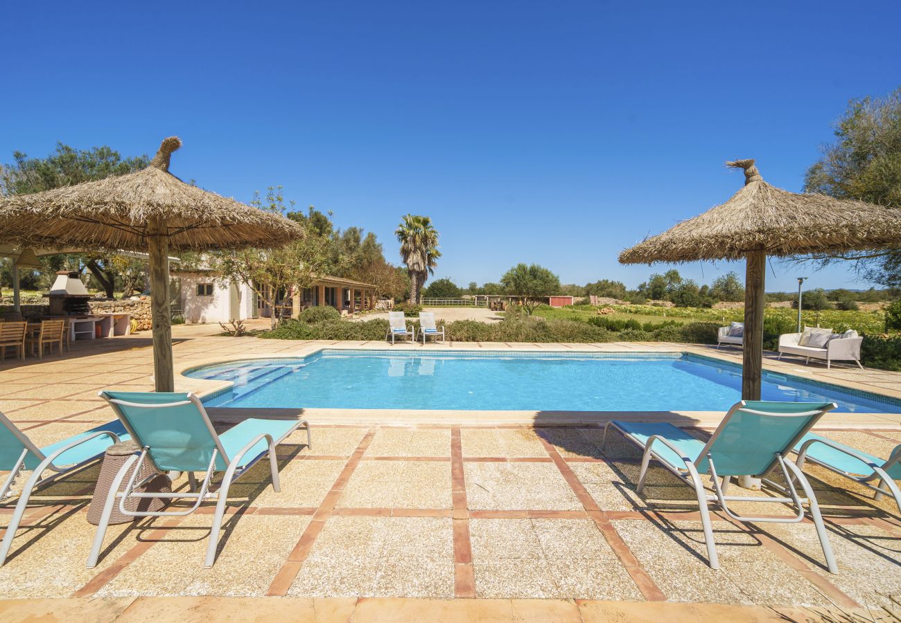 Finca en Porreres - Can Soler by Rentallorca