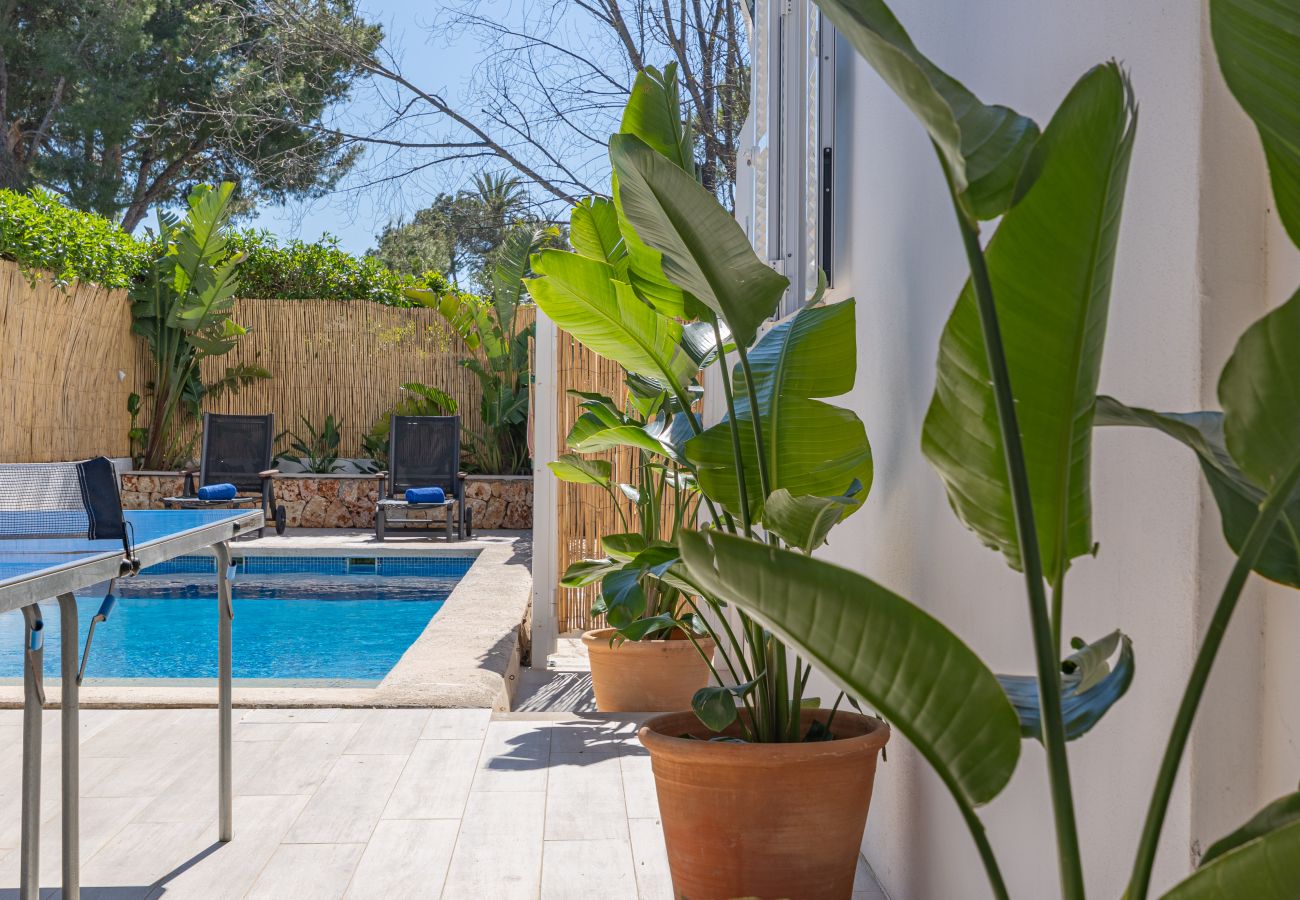 Apartamento en Puerto de Alcudia - Orquidia by Rentallorca