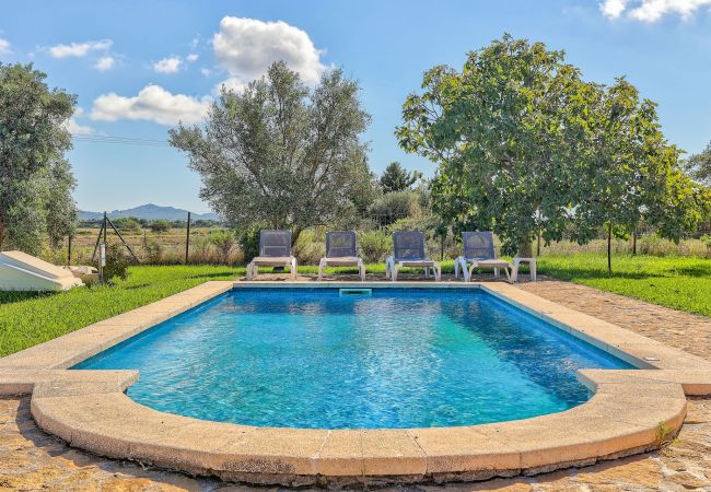 Finca en Alcúdia - S'Albufereta by Rentallorca Finca en Alcúdia - S'Albufereta by Rentallorca