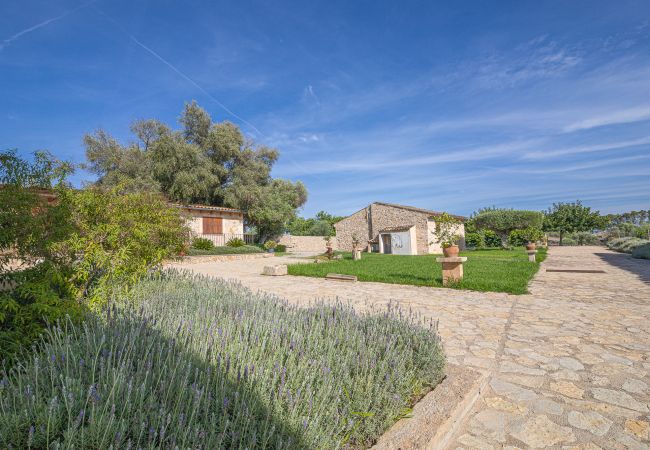 Apartamento en Petra - Apartamento Son Calo C by Rentallorca Apartamento en Petra - Apartamento Son Calo C by Rentallorca
