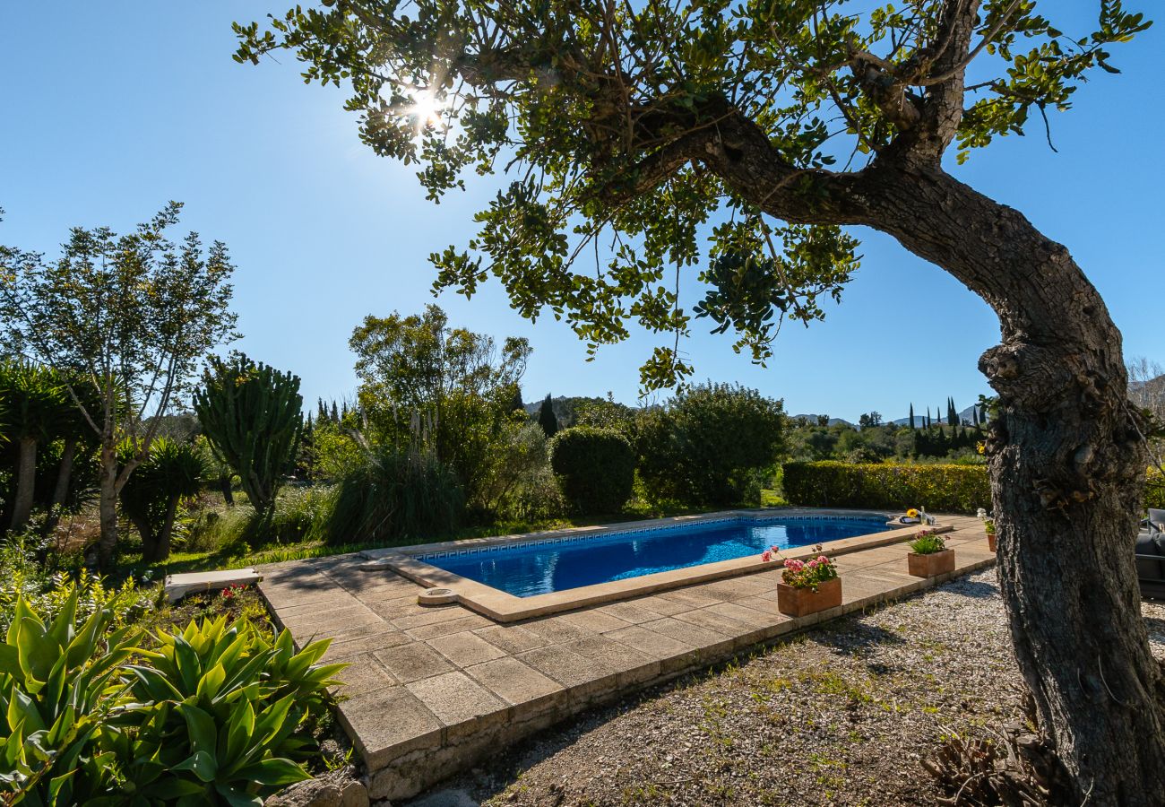 Villa en Pollensa - Villa Marina