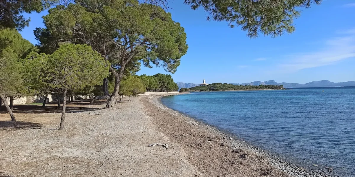 alcanar.webp
