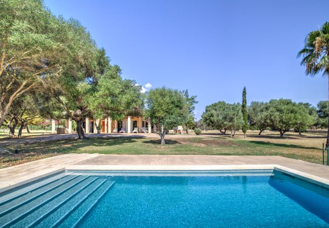 Finca in Can Picafort - Son Morro by Rentallorca Finca in Can Picafort - Son Morro by Rentallorca