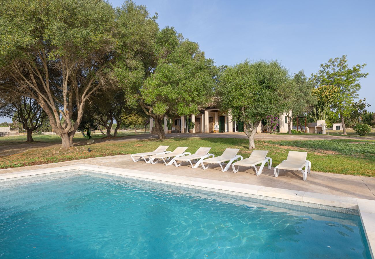 Finca in Can Picafort - Son Morro by Rentallorca