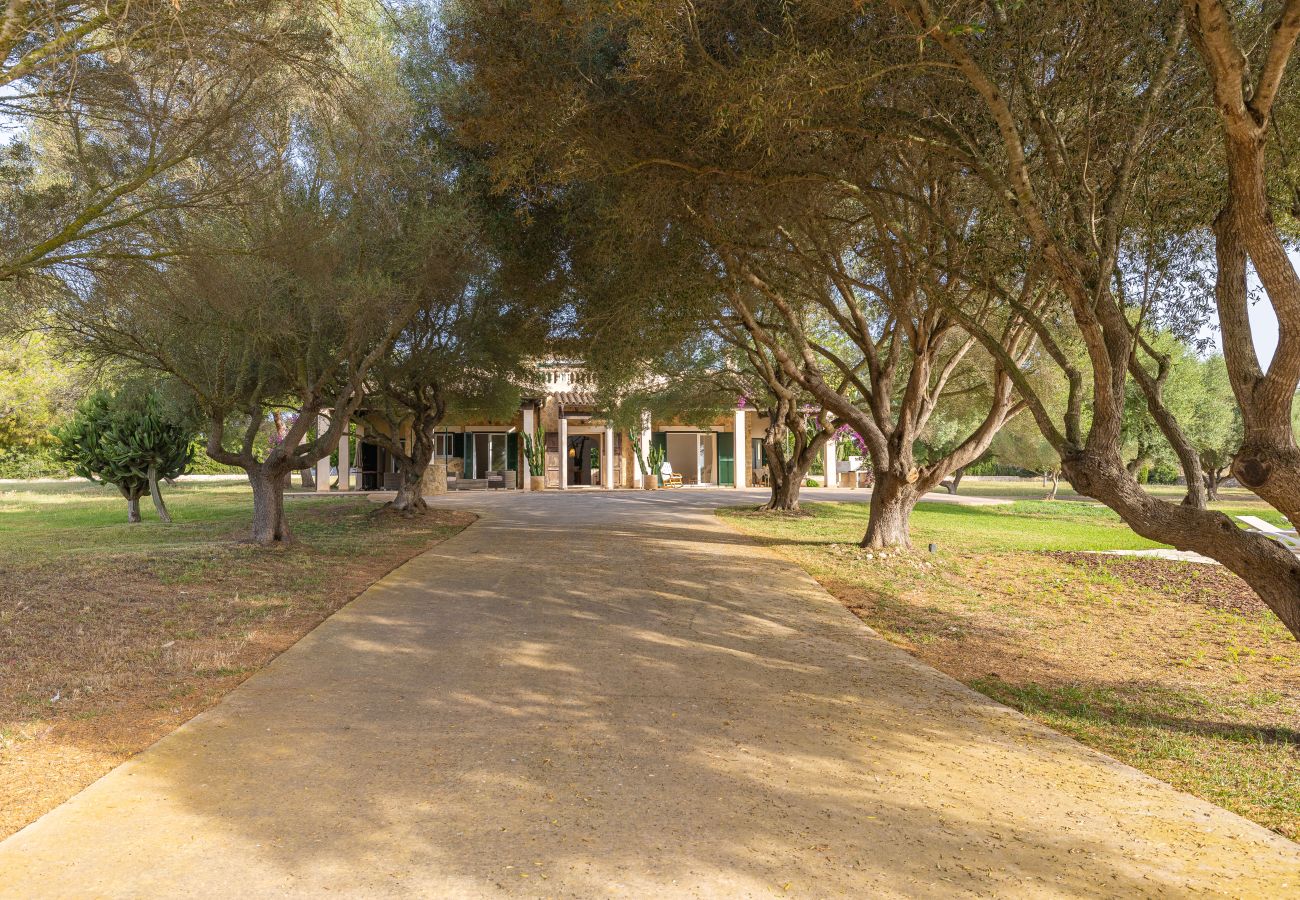 Finca in Can Picafort - Son Morro by Rentallorca