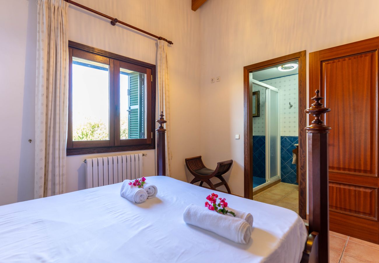 Ferienhaus in Alcudia - Torretes