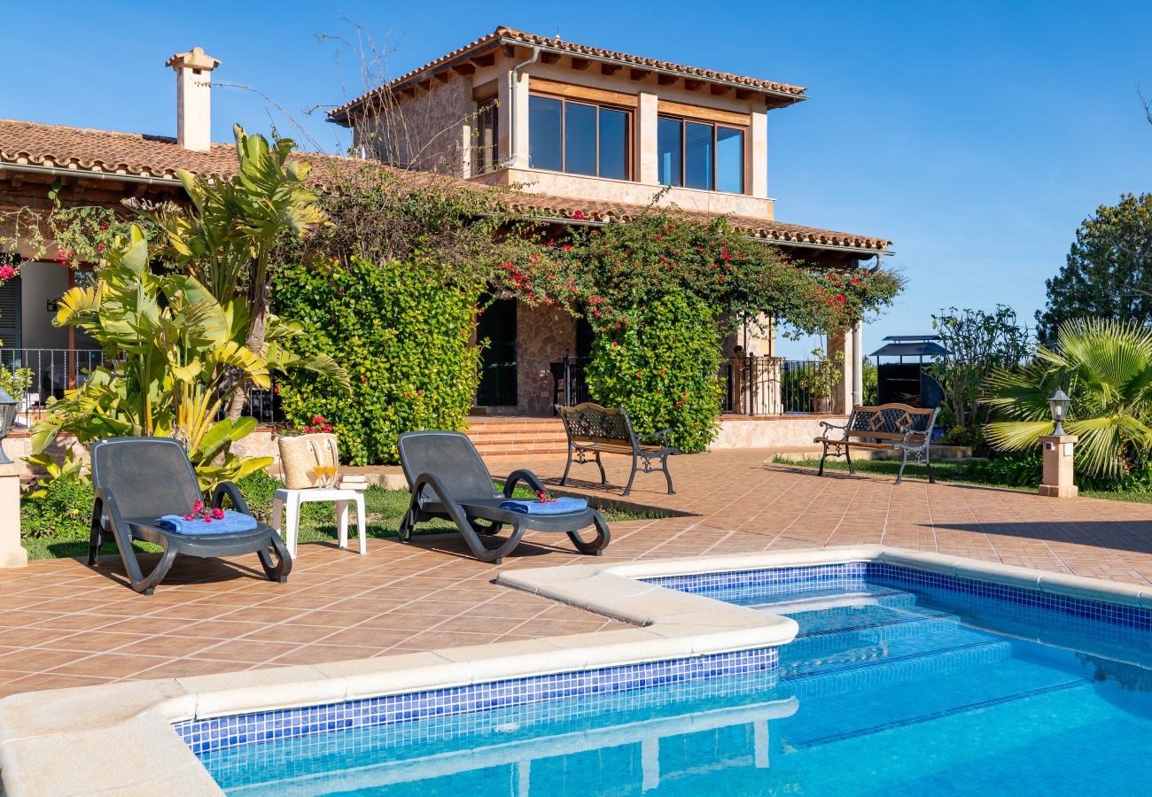Ferienhaus in Alcudia - Torretes