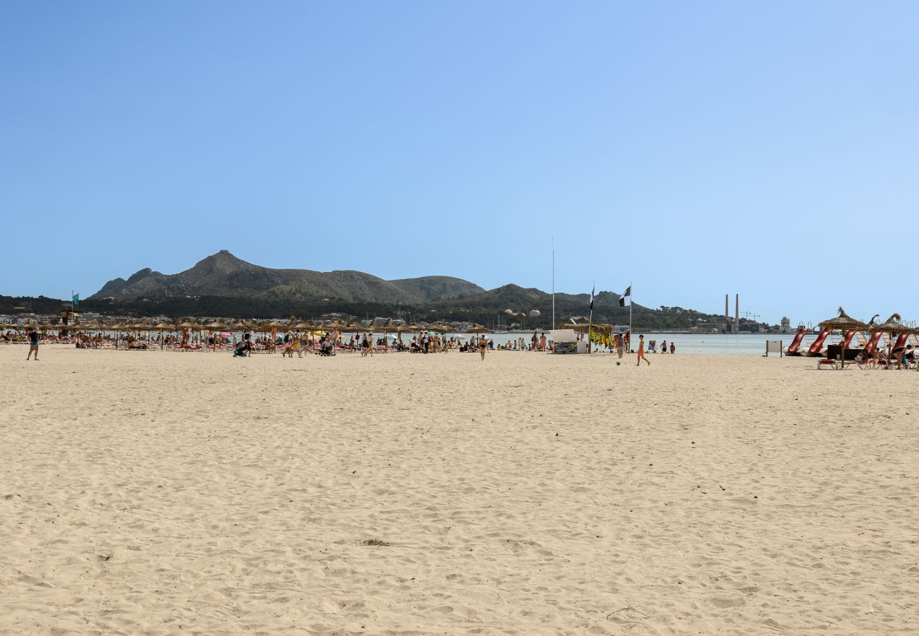 Apartment in Alcudia - Apartment playa 1D in Puerto Alcudia 