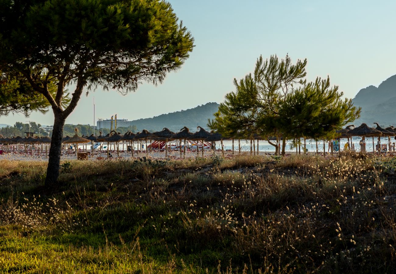 Apartment in Alcudia - Apartment playa 1D in Puerto Alcudia 