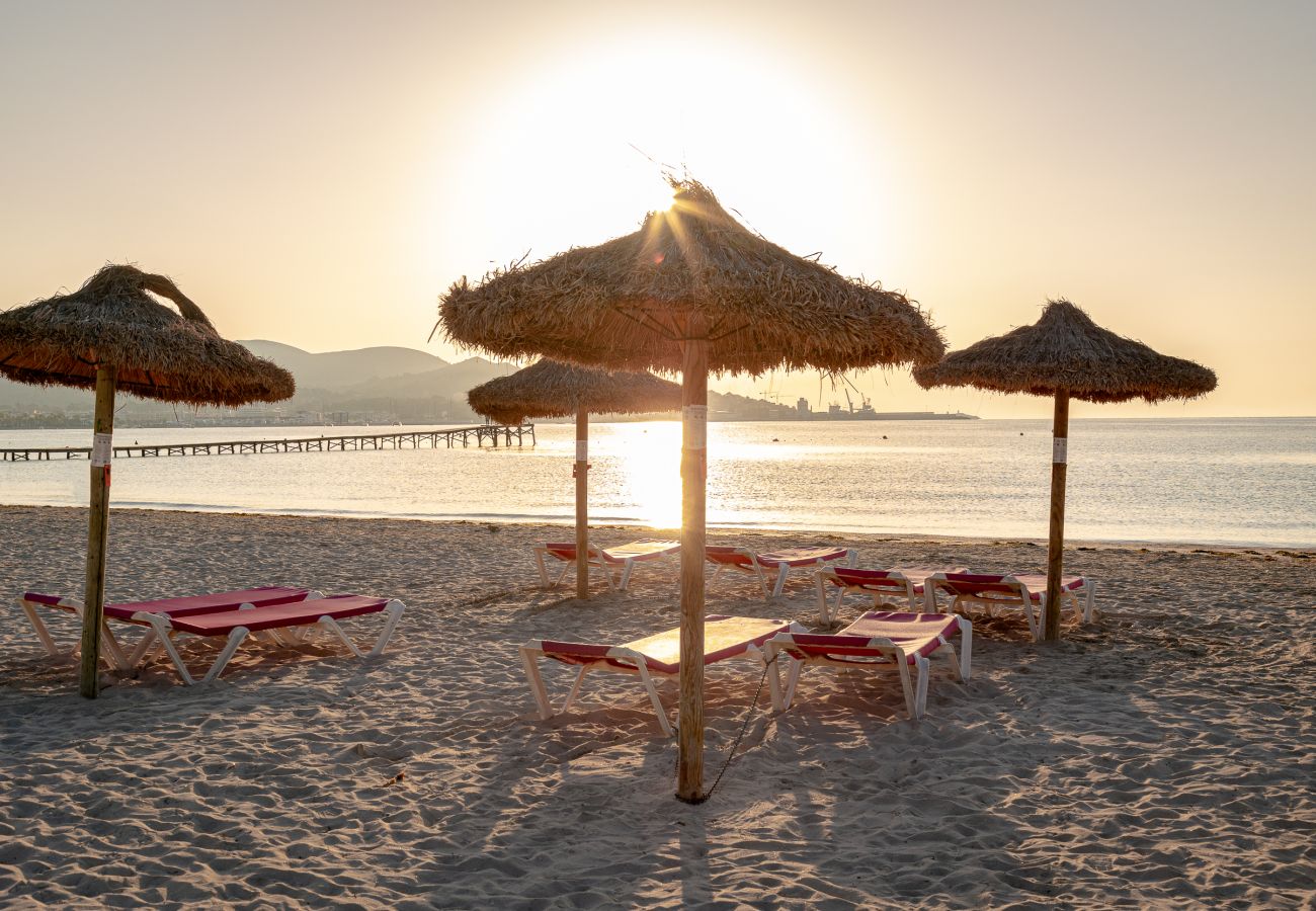 Apartment in Alcudia - Apartment Playa 2B in Puerto de Alcudia 