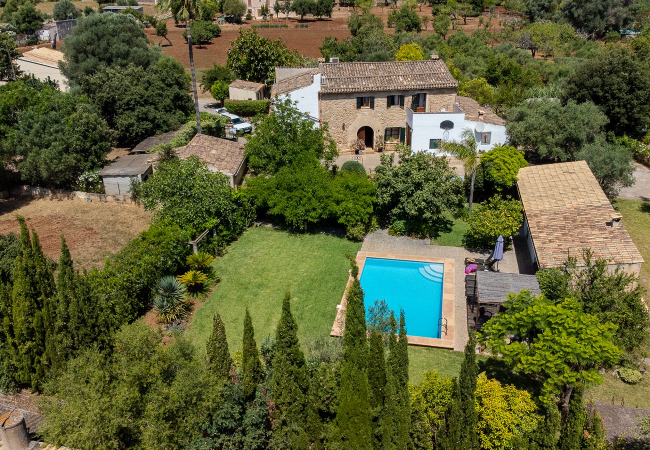 Villa in Pollensa -  Villa Lloquet in Pollensa By home villas 360