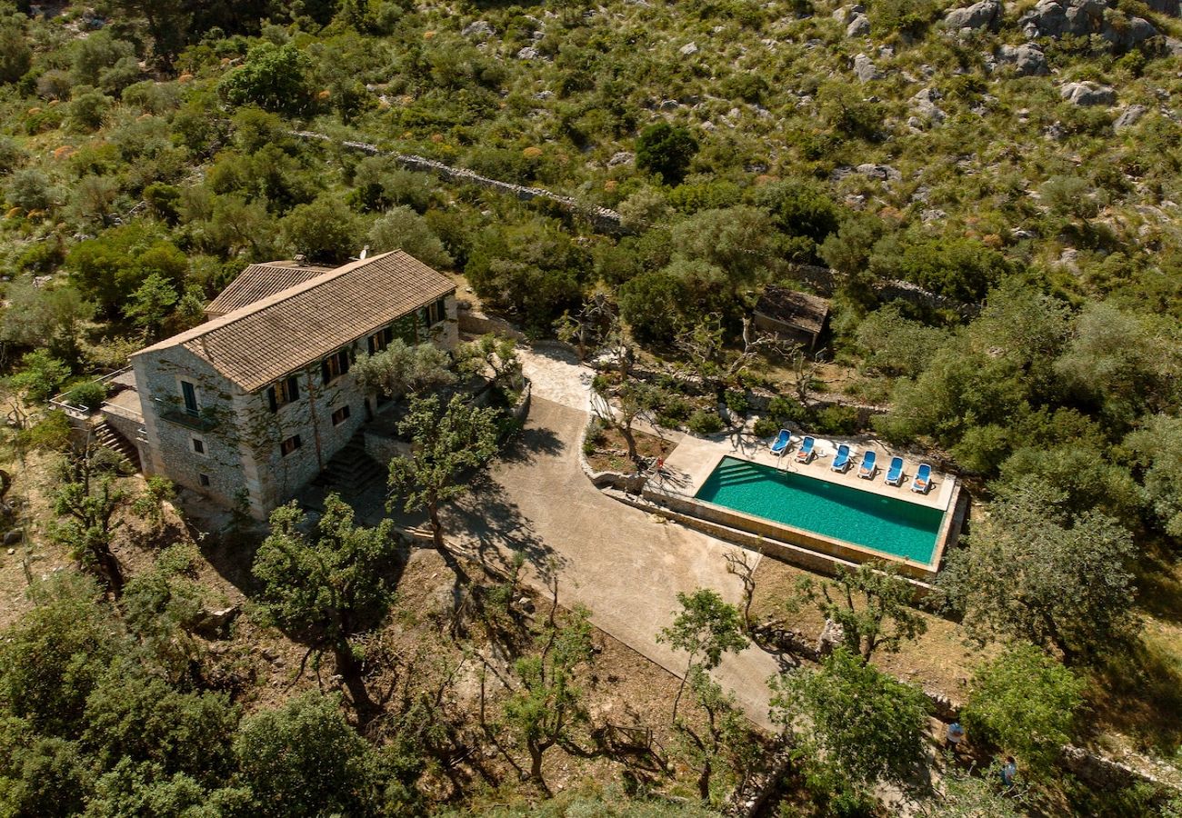 Villa in Pollensa - Villa Muscarolas By home villas 360