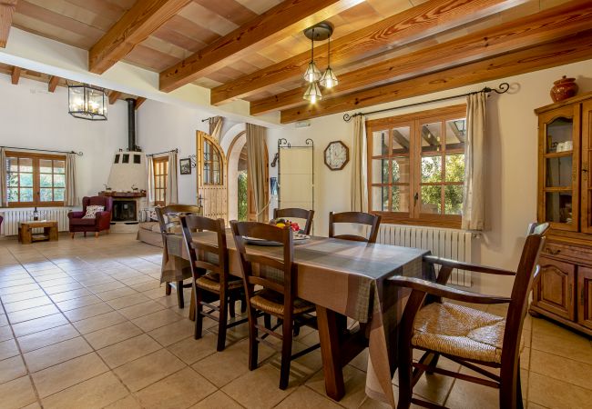 Villa in Pollensa - Villa Can Bajoca near Pollensa Villa in Pollensa - Villa Can Bajoca near Pollensa