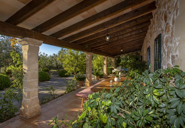 Villa in Pollensa - Villa Can Bajoca near Pollensa Villa in Pollensa - Villa Can Bajoca near Pollensa