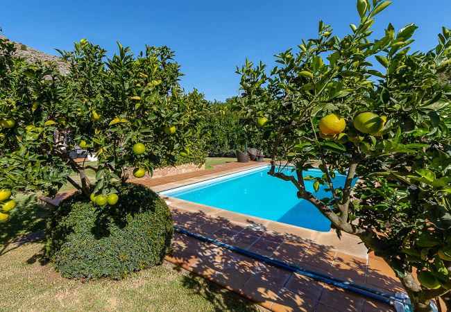 Villa/Dettached house in Pollensa - Villa Can LLobera