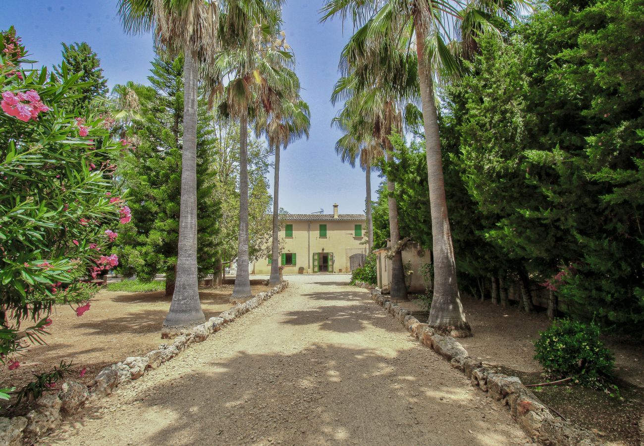 Country house in Vilafranca de Bonany - La Finquita by Rentallorca