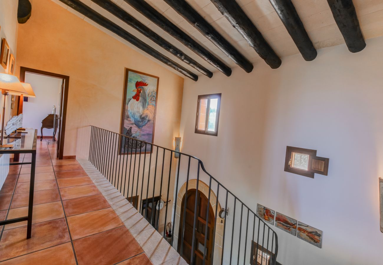 Country house in Manacor - Es Turonet