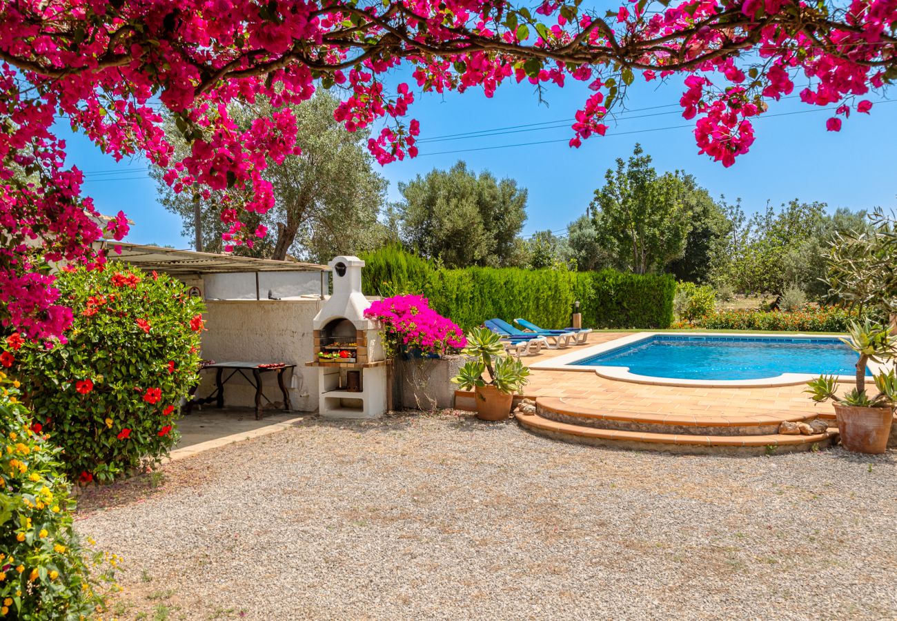 Villa in Pollensa - Villa Ca Na Magdalena by homevillas360