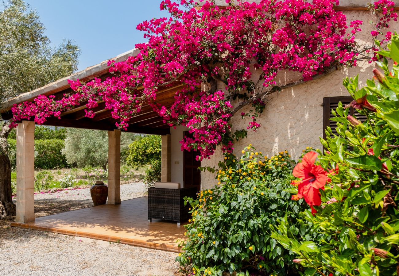 Villa in Pollensa - Villa Ca Na Magdalena by homevillas360