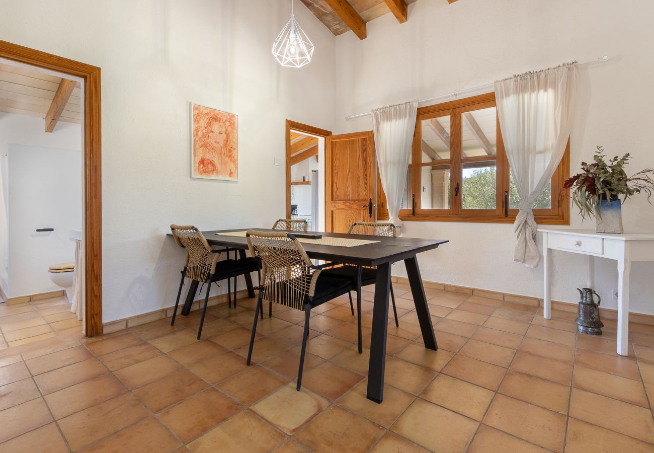 Villa in Pollensa - Villa Marina