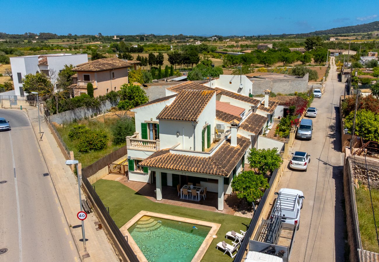 Terraced House in Porreres -  Modern holiday home with pool in the heart of Porreres.