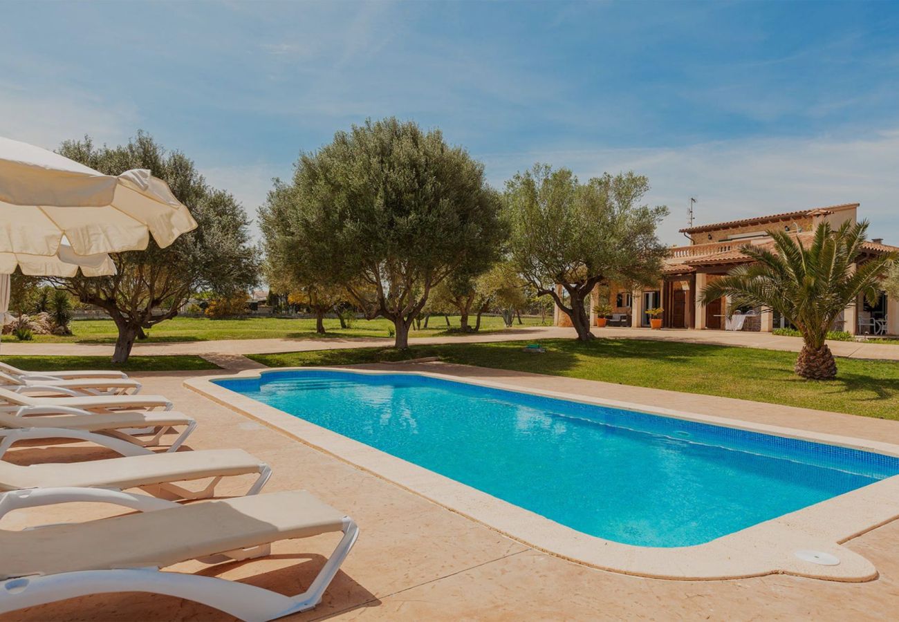 Country house in Can Picafort - Son Morro by Rentallorca