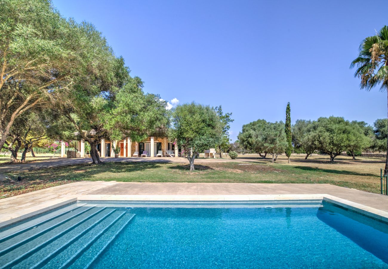 Country house in Can Picafort - Son Morro by Rentallorca