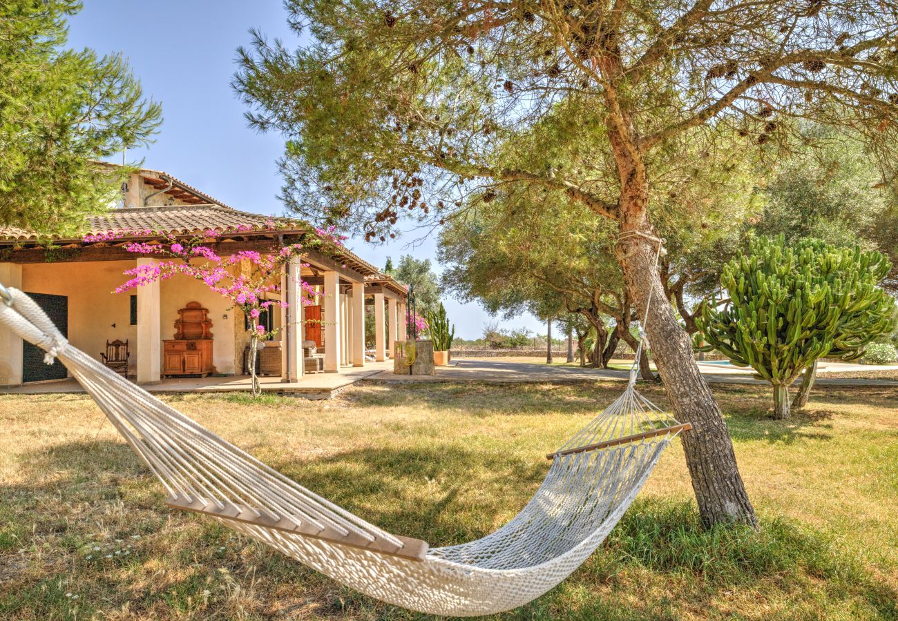 Country house in Can Picafort - Son Morro by Rentallorca